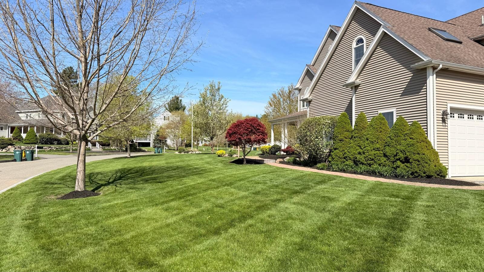 Curated Front Yard